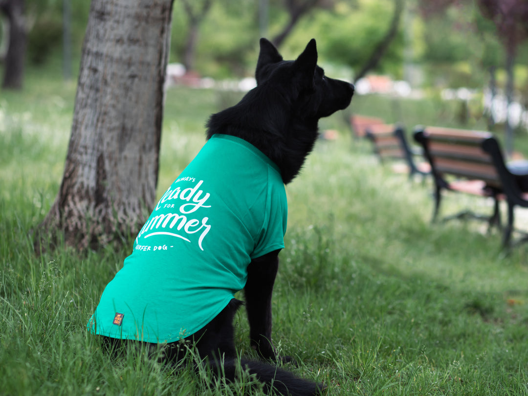 Tshirt | Surfer Dog