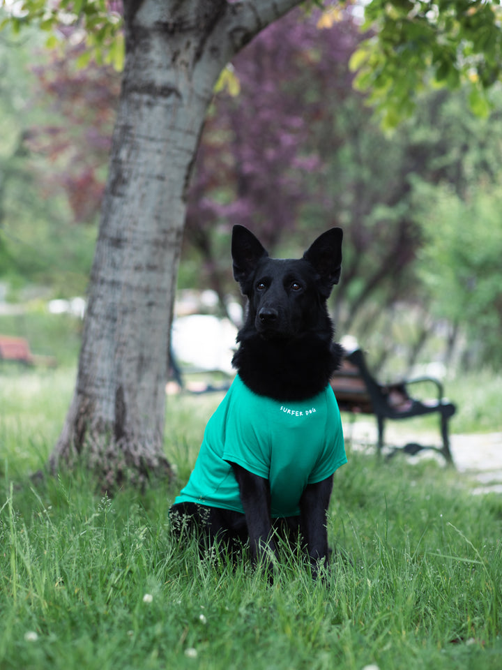 Tshirt | Surfer Dog