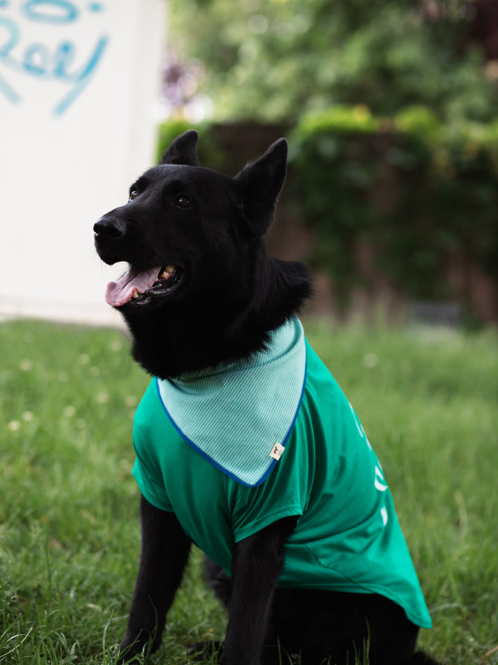 Tshirt | Surfer Dog