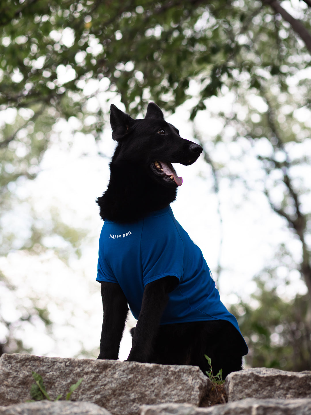 Tshirt | Happy Dog