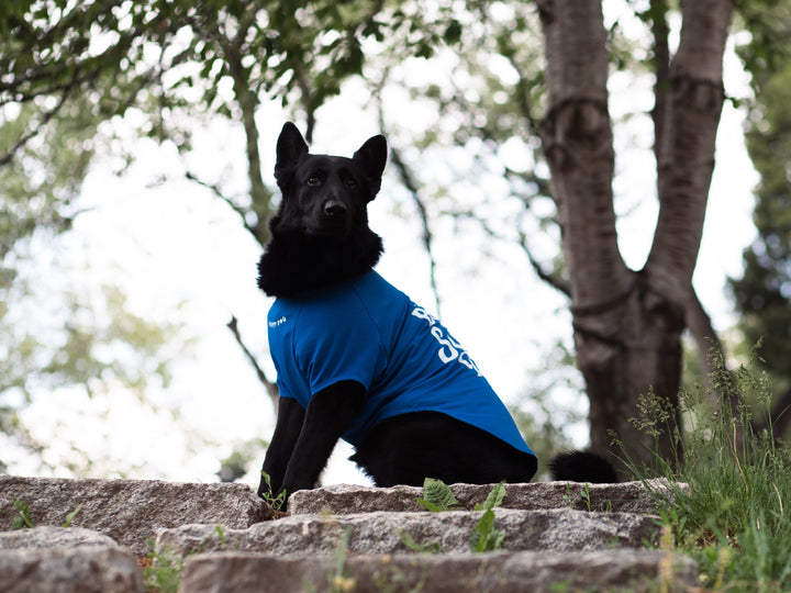 Tshirt | Happy Dog