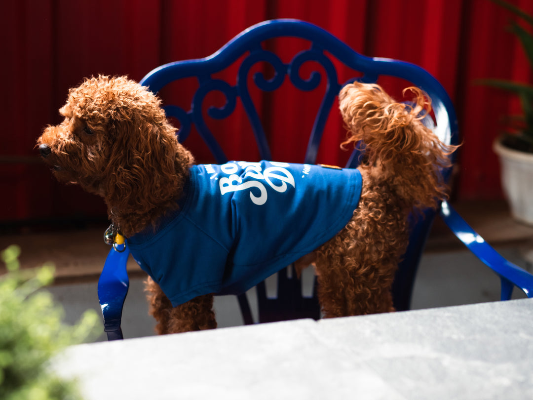 Tshirt | Happy Dog