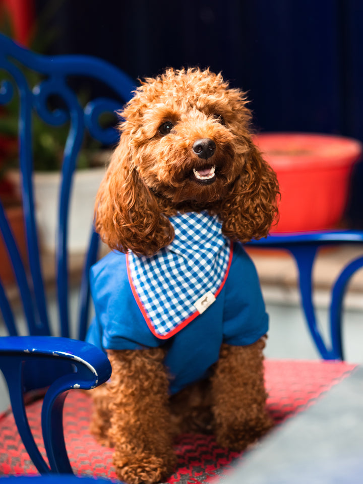 Tshirt | Happy Dog