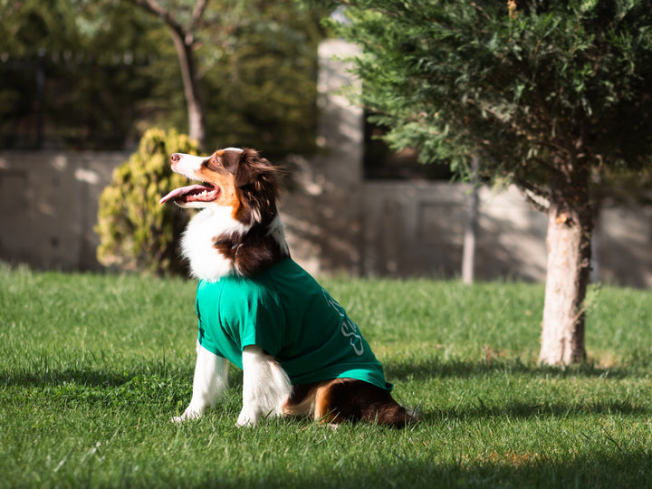 Tshirt | Surfer Dog