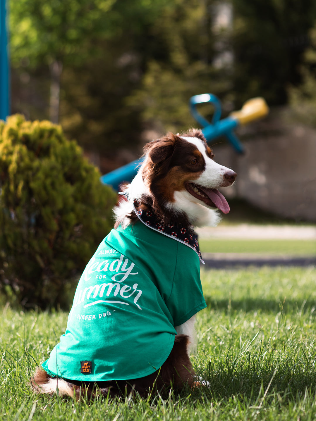 Tshirt | Surfer Dog