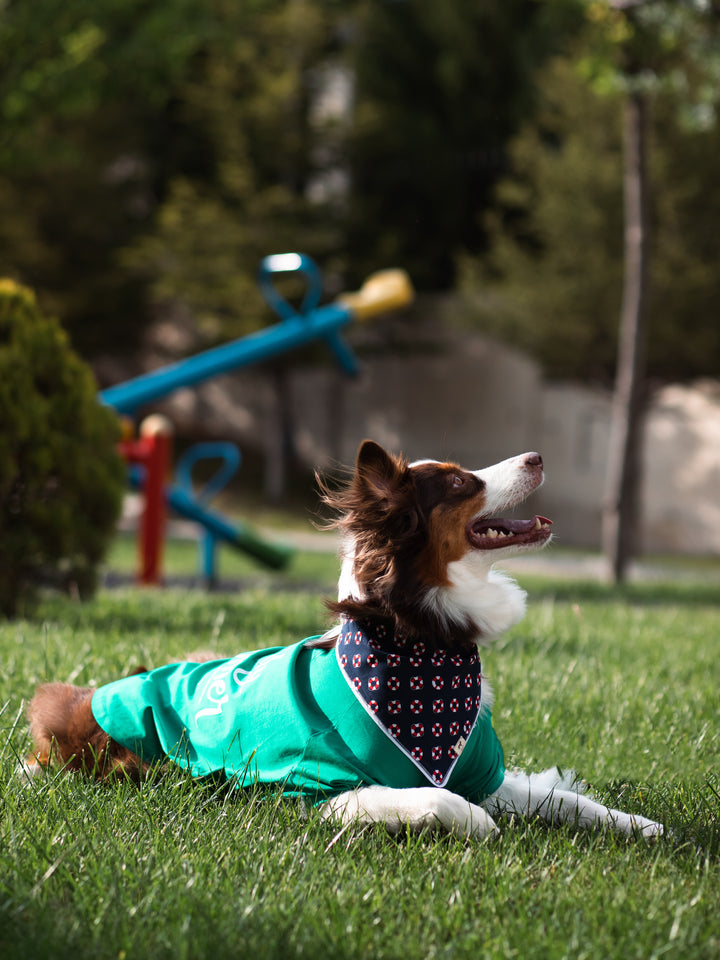 Tshirt | Surfer Dog