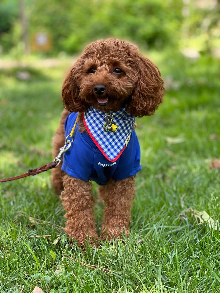 Tshirt | Happy Dog