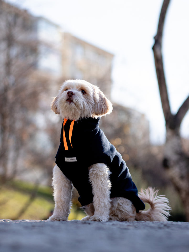 Brooklyn Sweatshirt | Midnight Blue