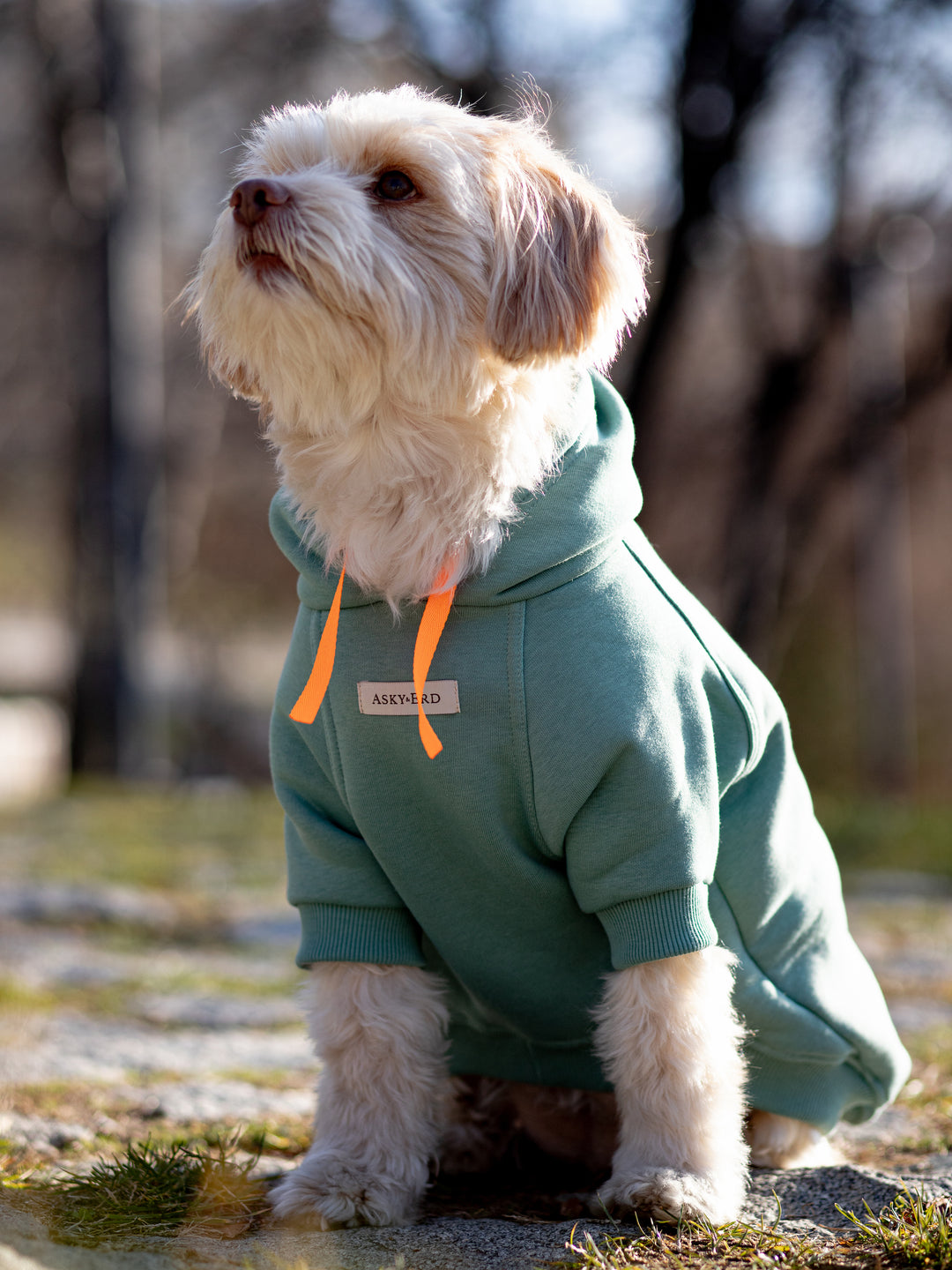 Soho Hoodie | Ocean Green