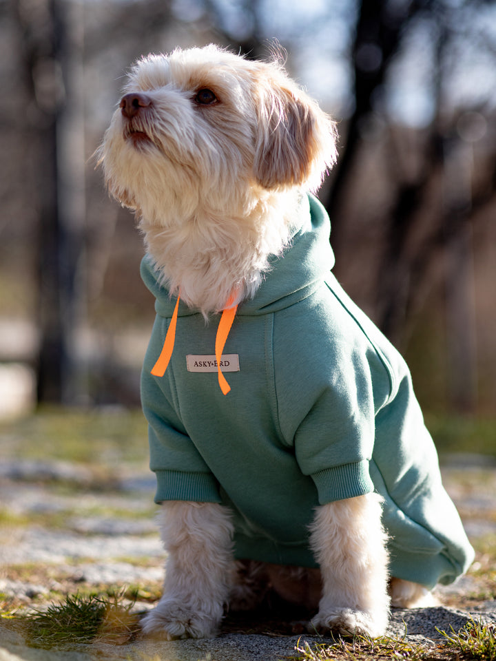 Soho Hoodie | Ocean Green