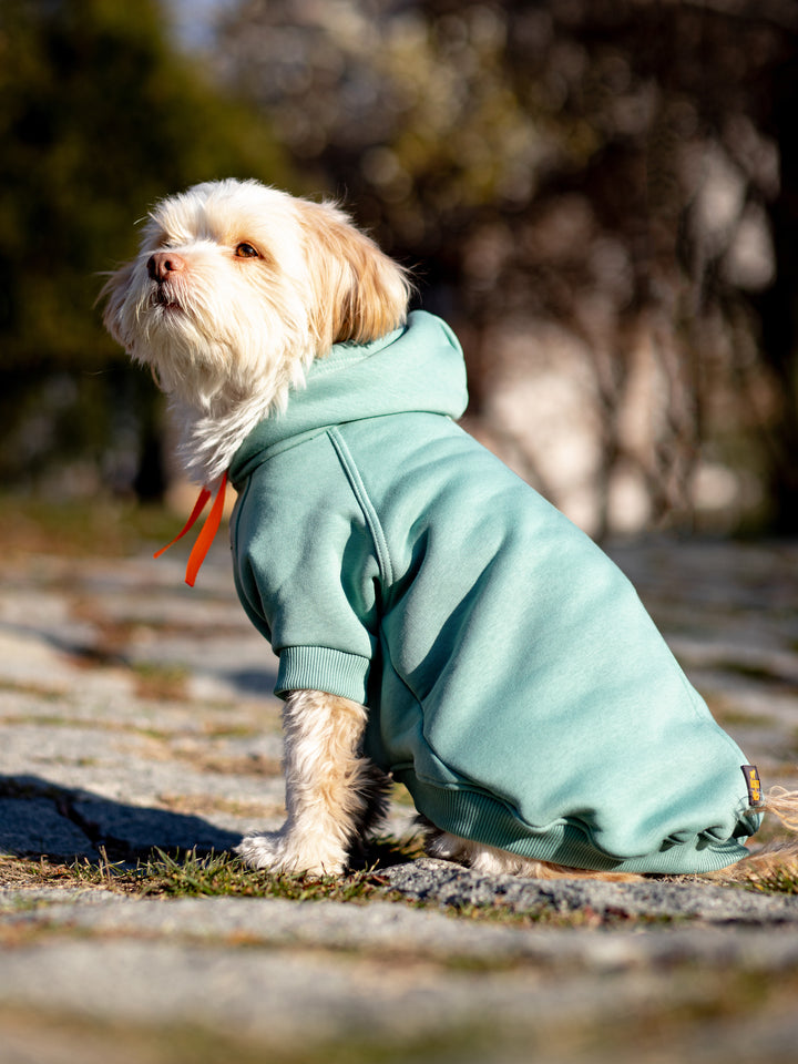 Soho Hoodie | Ocean Green