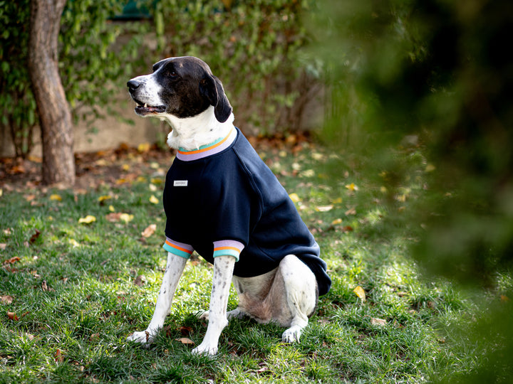 Manhattan Sweatshirt | Yankees Blue