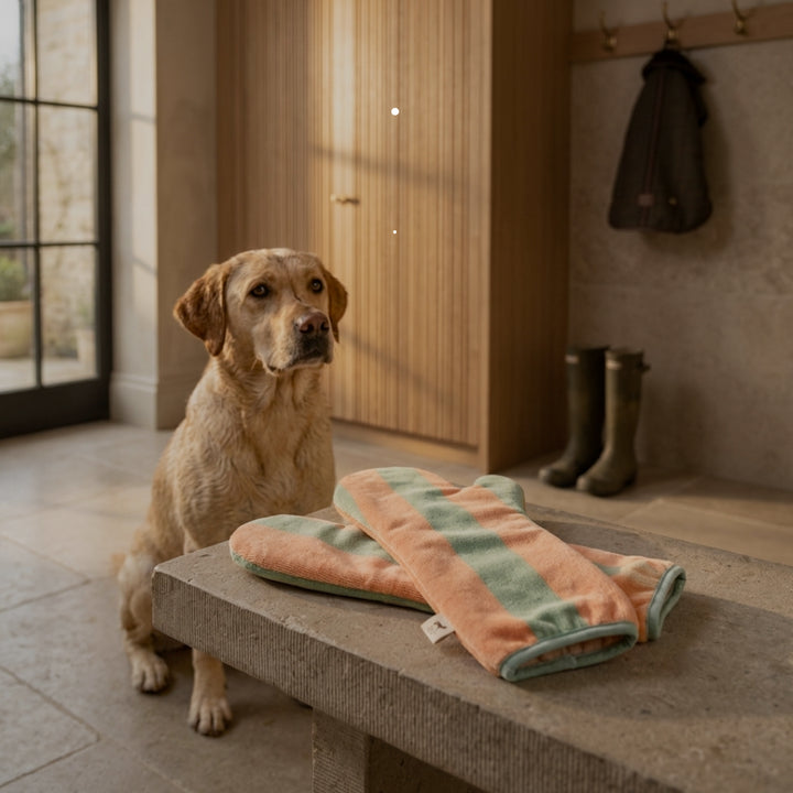 Soft Rituals | Drying Mitts | Seafoam & Salmon Stripe